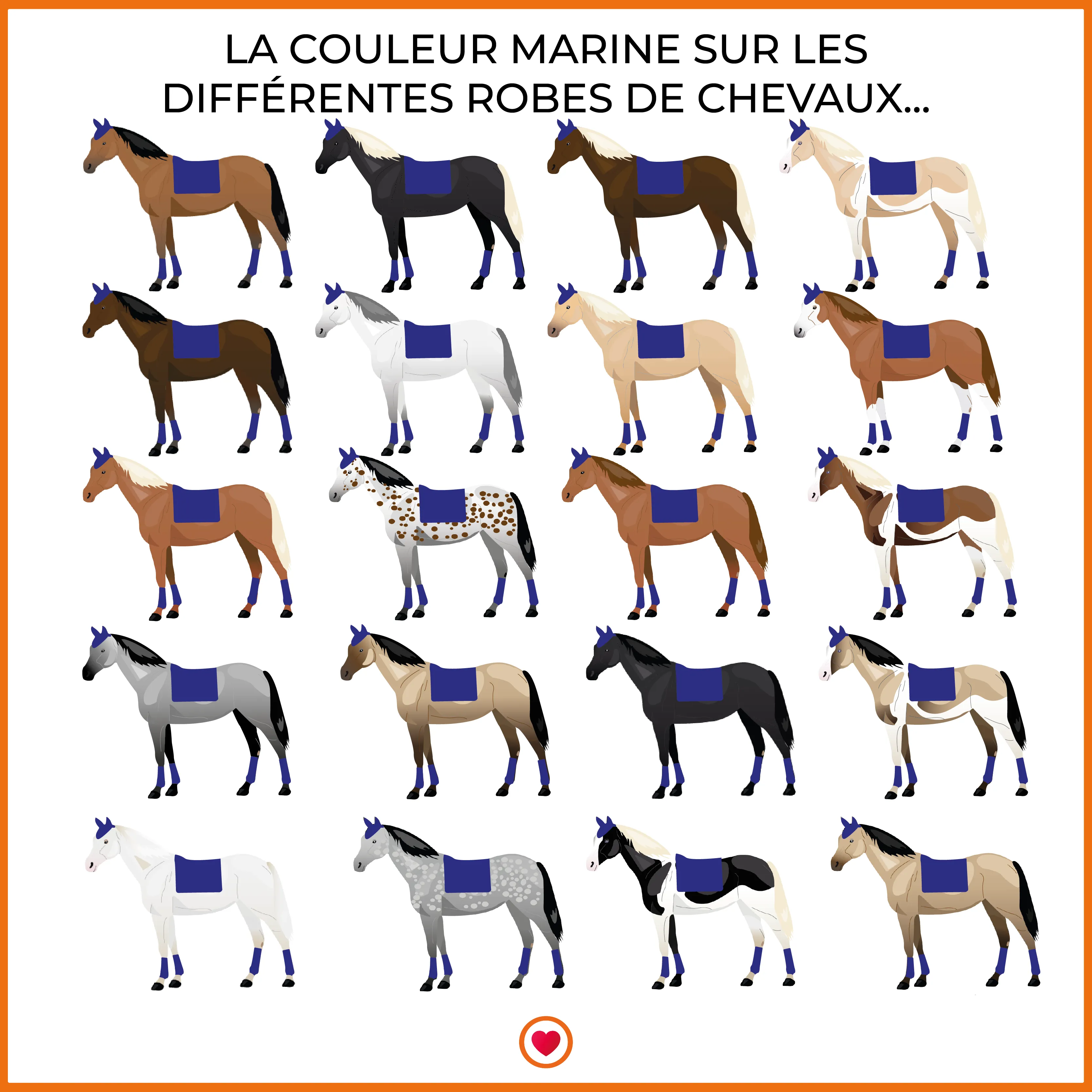 Animo Italia - Tapis de dressage Walzer marine