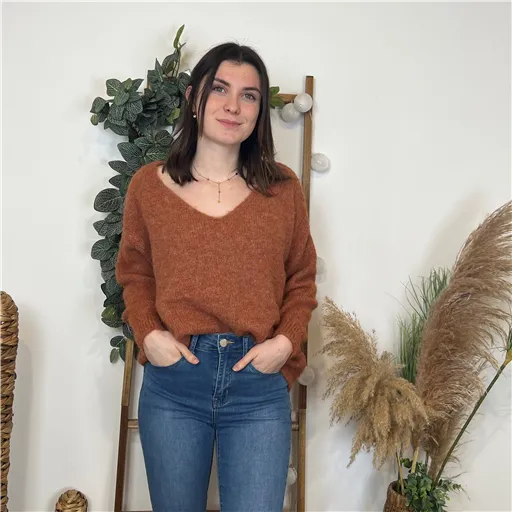Pull Camel Laine Col V - Bleu Clair